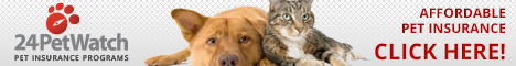 Pet Insurance link